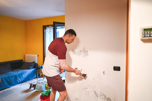 Best Toxic Mold Removal  in Bagdad, AZ